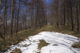 IMGP2268