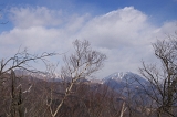IMGP2297
