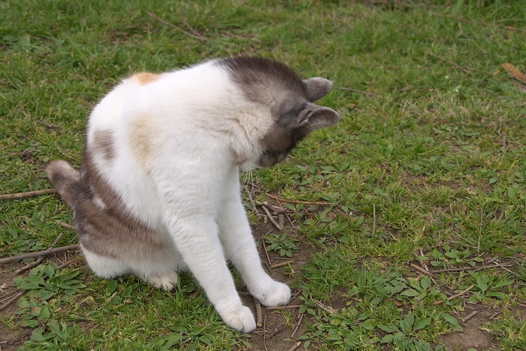 IMGP2493.jpg