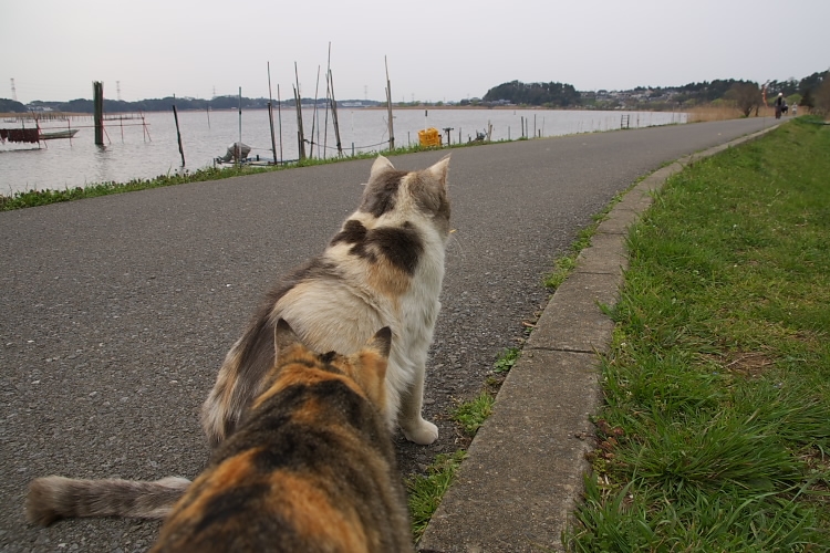 IMGP2534.jpg