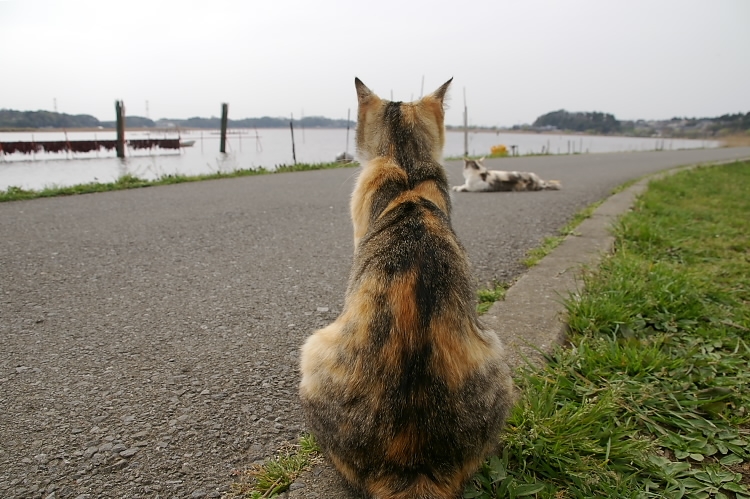 IMGP2569.jpg