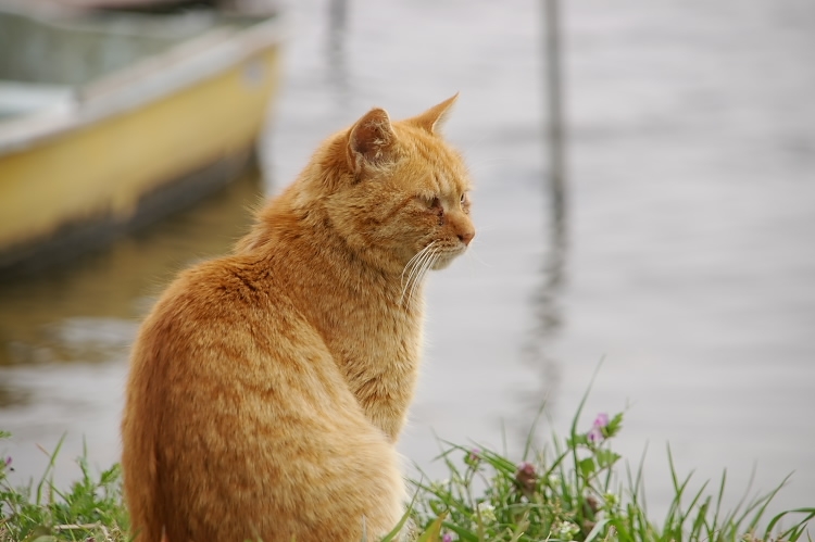 IMGP2581.jpg