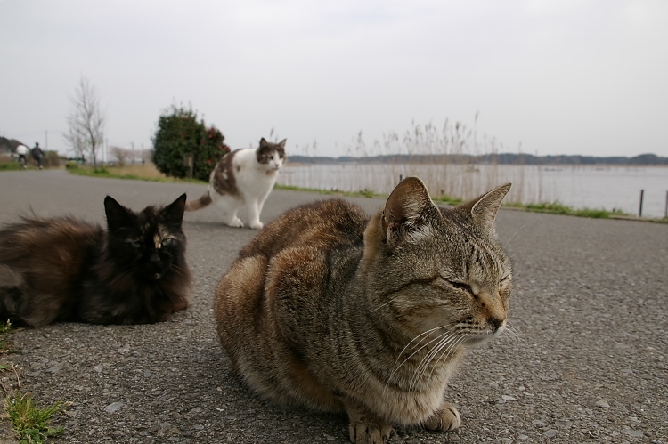 IMGP2590.jpg