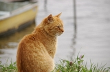 IMGP2581