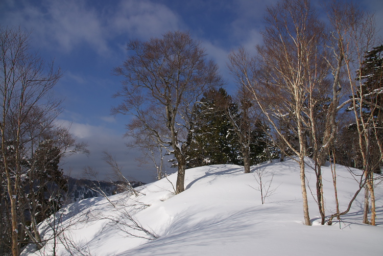IMGP2631.jpg