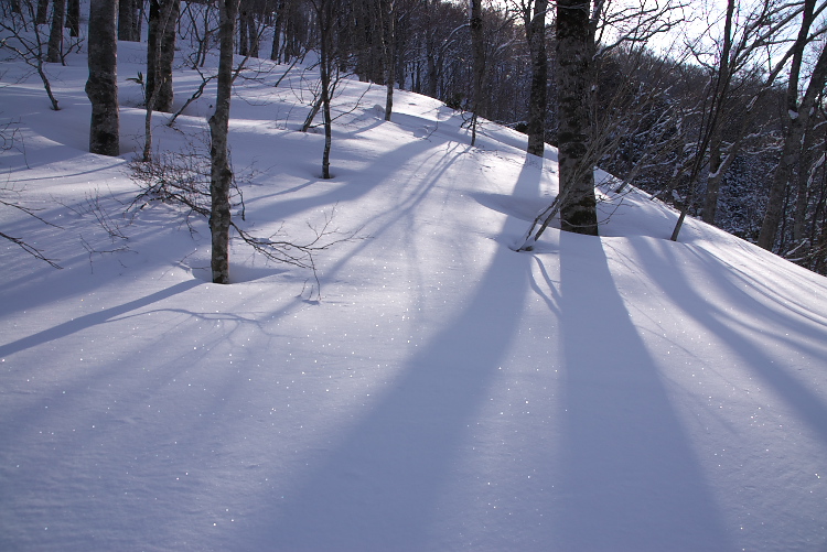 IMGP2634.jpg