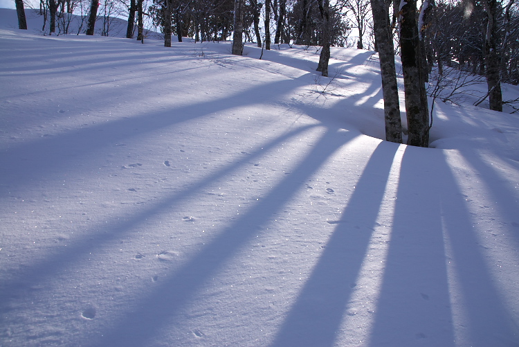IMGP2635.jpg