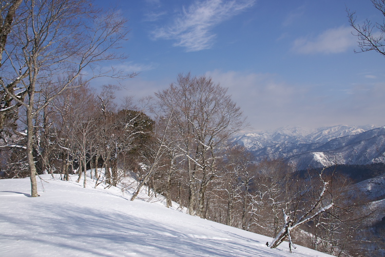 IMGP2638.jpg