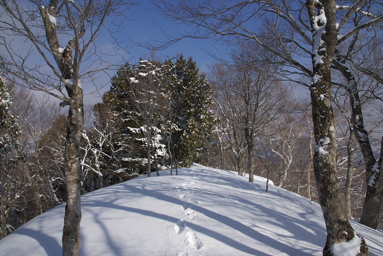 IMGP2645.jpg
