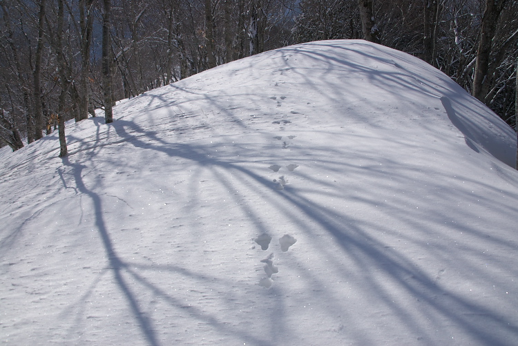 IMGP2651.jpg
