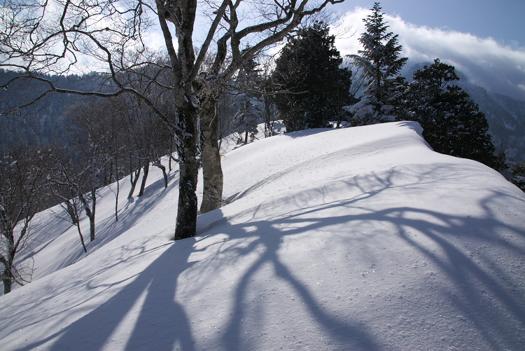 IMGP2657.jpg