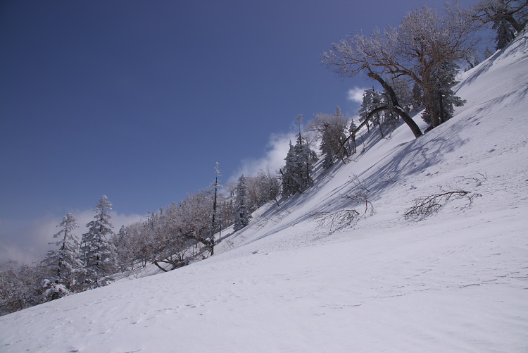 IMGP2715.jpg