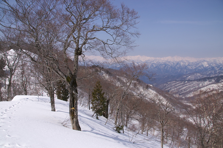 IMGP2750.jpg