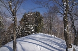 IMGP2645