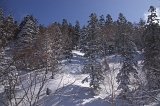 IMGP2674