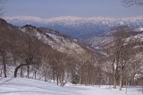 IMGP2743