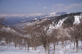 IMGP2751