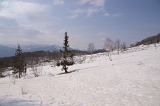 IMGP2767
