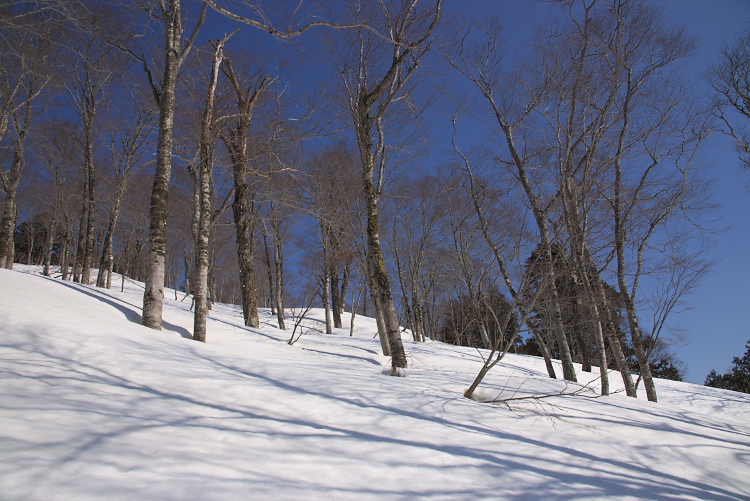 IMGP2786.jpg