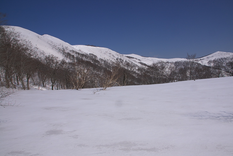 IMGP2800.jpg - 右端に見えるのは雨ヶ立山
