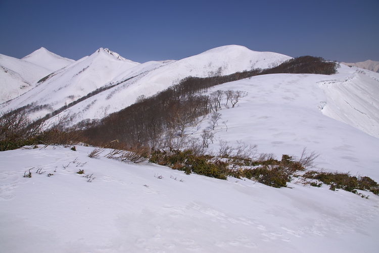 IMGP2845.jpg
