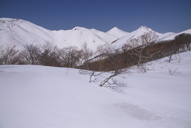 IMGP2847.jpg