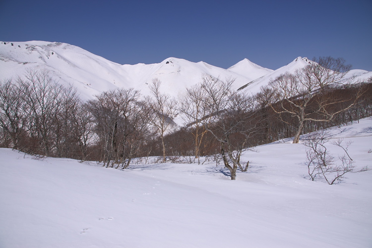 IMGP2849.jpg