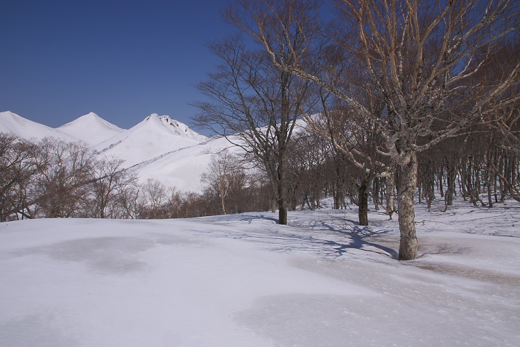 IMGP2860.jpg