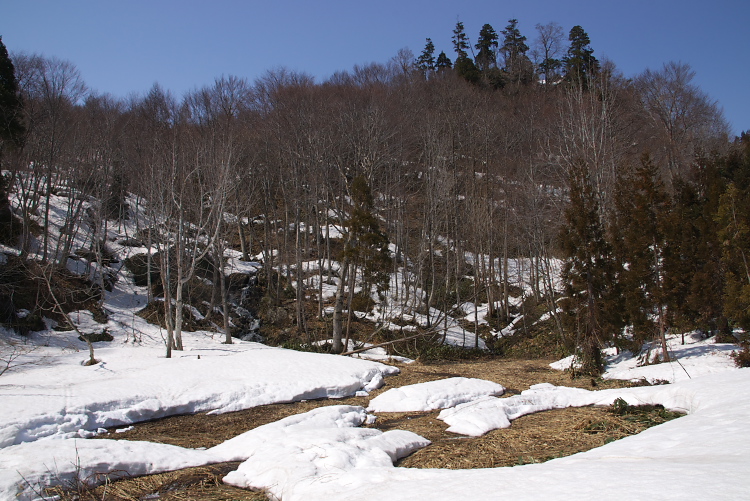 IMGP2979.jpg