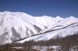 IMGP2834