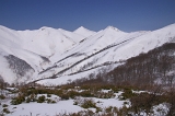 IMGP2841