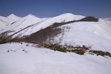 IMGP2845