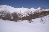 IMGP2849