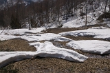 IMGP2973