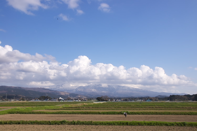 IMGP3028.jpg - 秋田県　仁賀保町にて