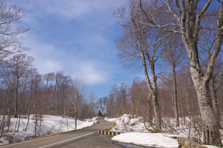 IMGP3147.jpg