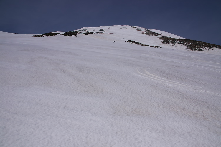 IMGP3214.jpg