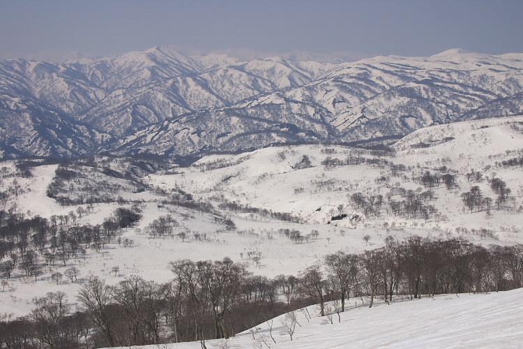 IMGP3292.jpg
