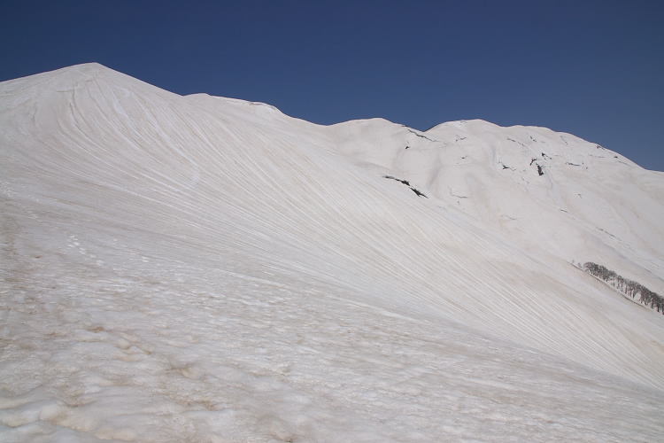 IMGP3294.jpg - 湯殿山