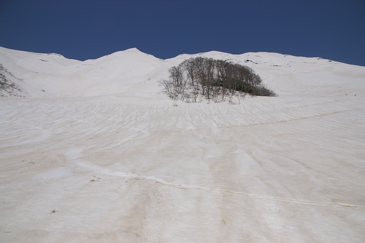 IMGP3318.jpg - 石跳川から湯殿山