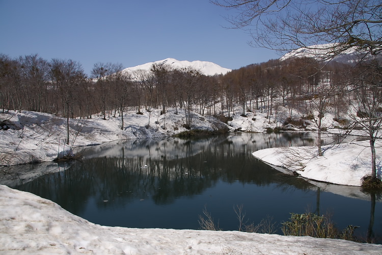 IMGP3345.jpg