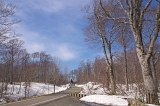 IMGP3147
