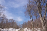 IMGP3148