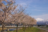 IMGP3160