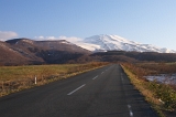 IMGP3196