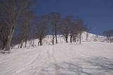 IMGP3287