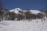 IMGP3342