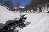 IMGP3343