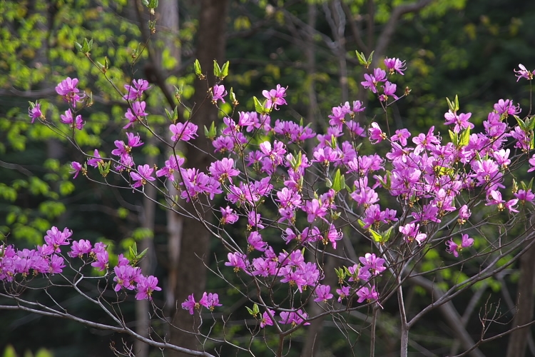 IMGP3422.jpg