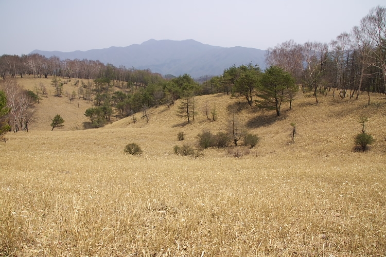 IMGP3513.jpg